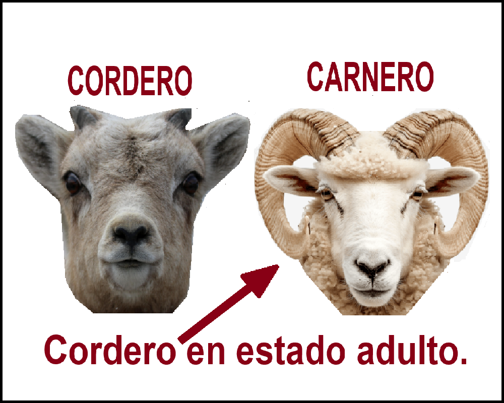 Estas en el home